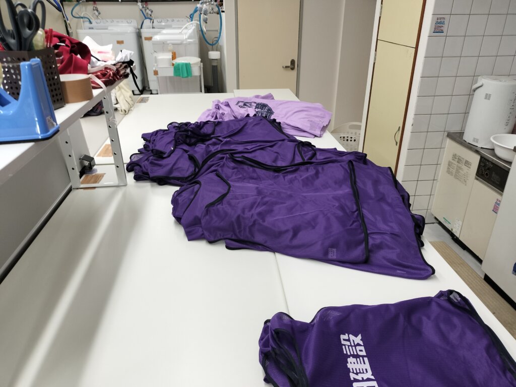 紫色のビブスを広げた状態