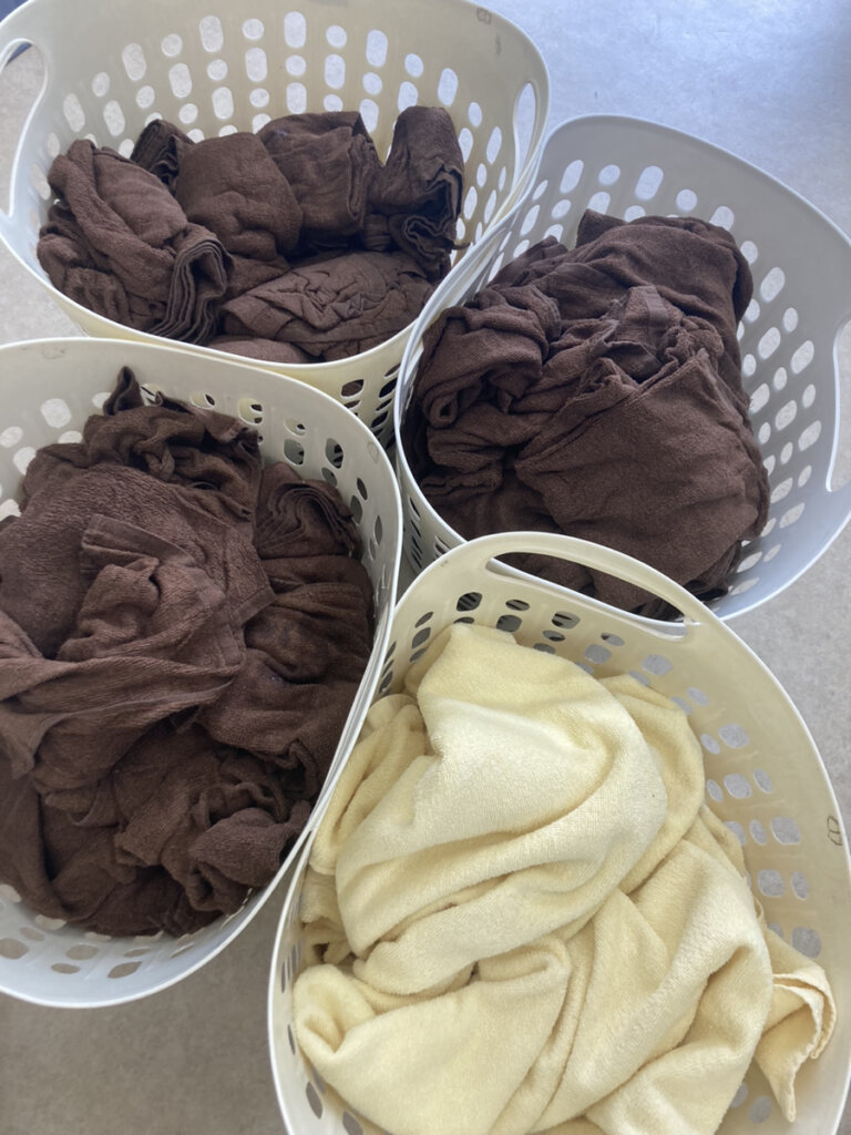 洗濯前、茶色いタオル、黄色タオル色分けされてる